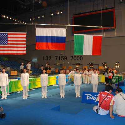 电动升旗控制系统