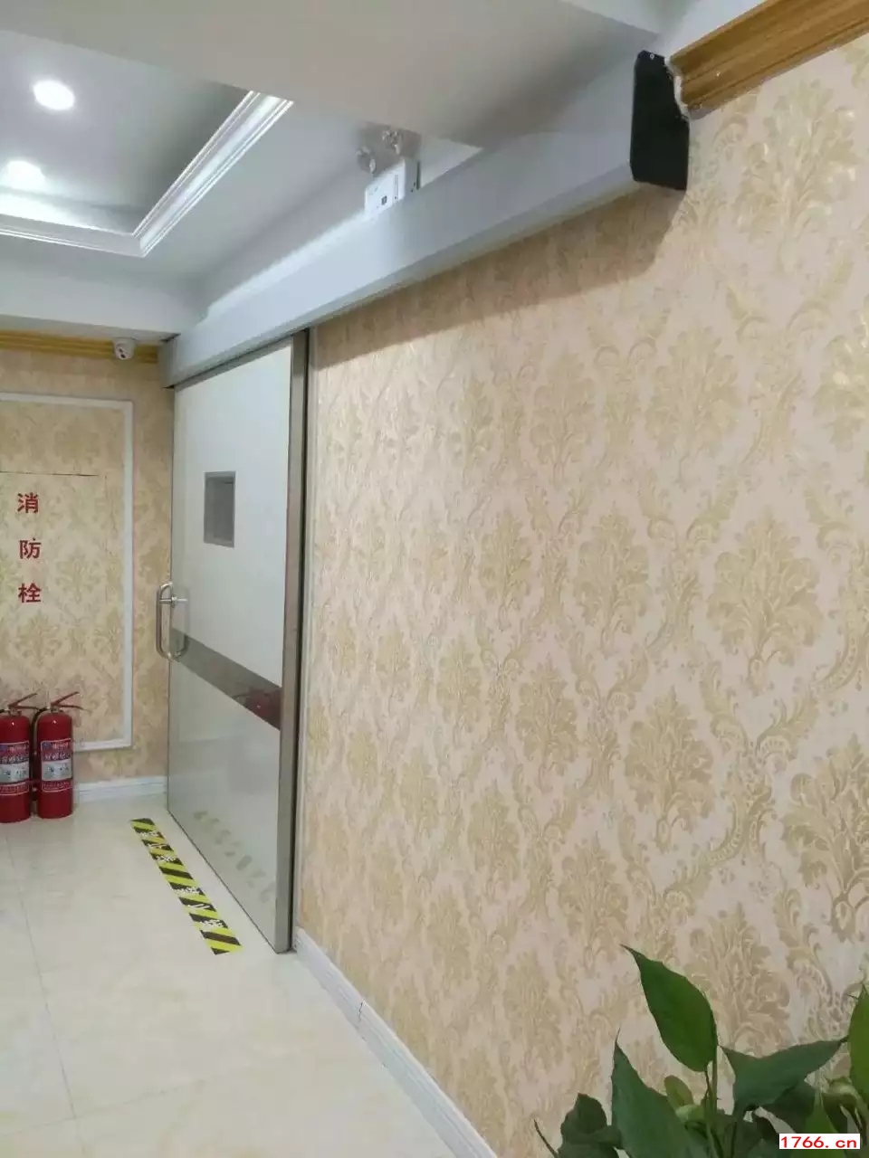 医用门