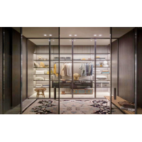 极窄边框衣帽间磁悬浮自动门