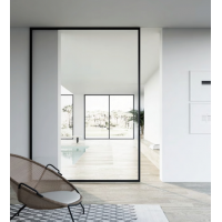 单开式磁悬浮玻璃自动门