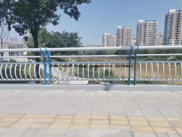 桥梁两侧金属护栏应用场景